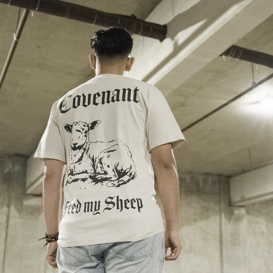 Feed My Sheep | T's