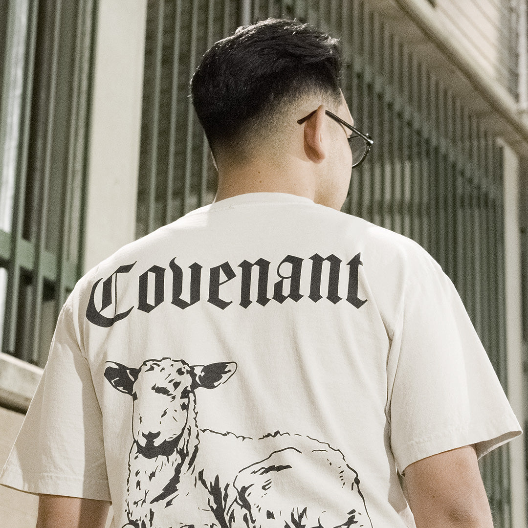 Feed My Sheep | T's