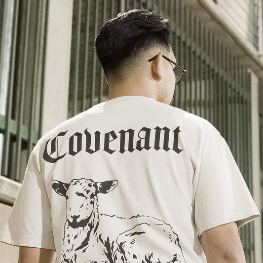 Feed My Sheep | T's