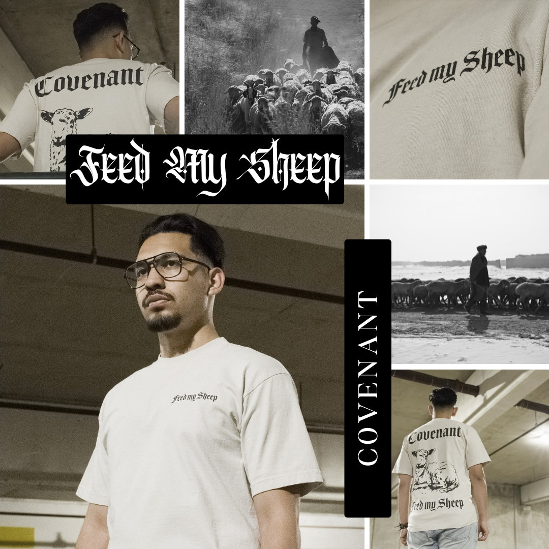 Feed My Sheep | T's